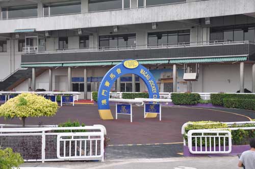 赛马场无线传输现场