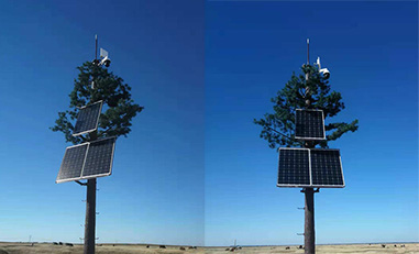 双辽市白鹤自然保护区远程无线视频监控案例