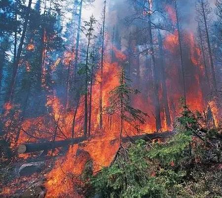 贵州林火预警无线视频传输解决方案