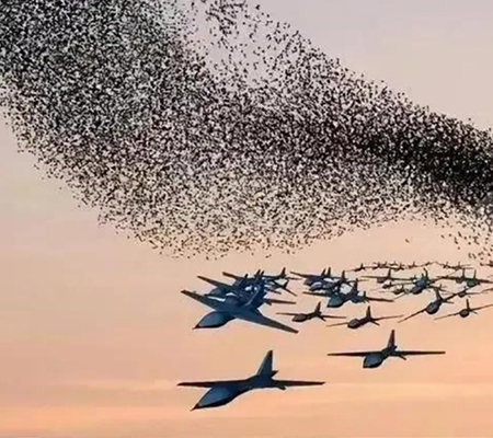 无人蜂群作战无线自组网解决方案